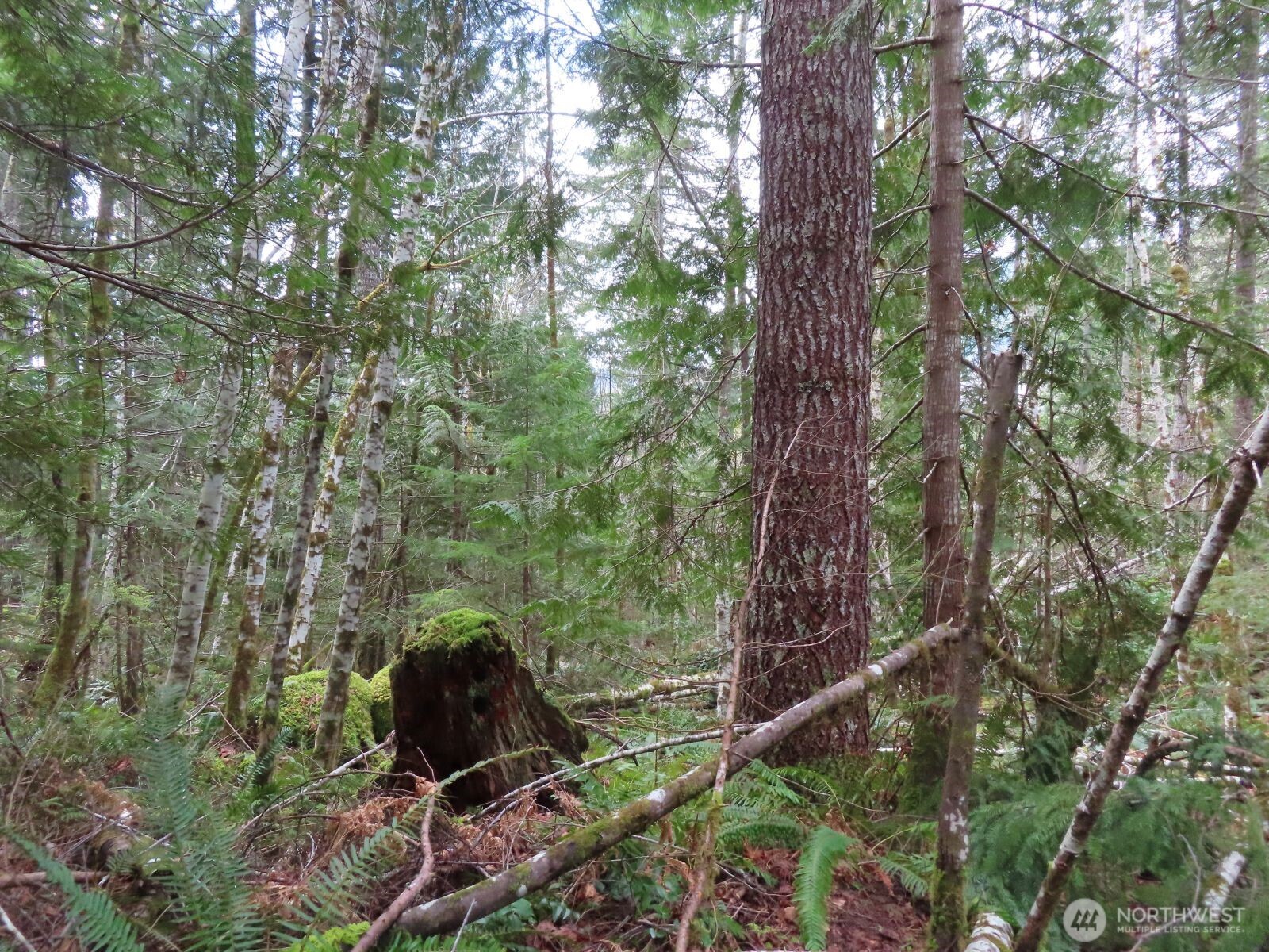 0 Xxx N Lake Cushman Road Property Photo 29