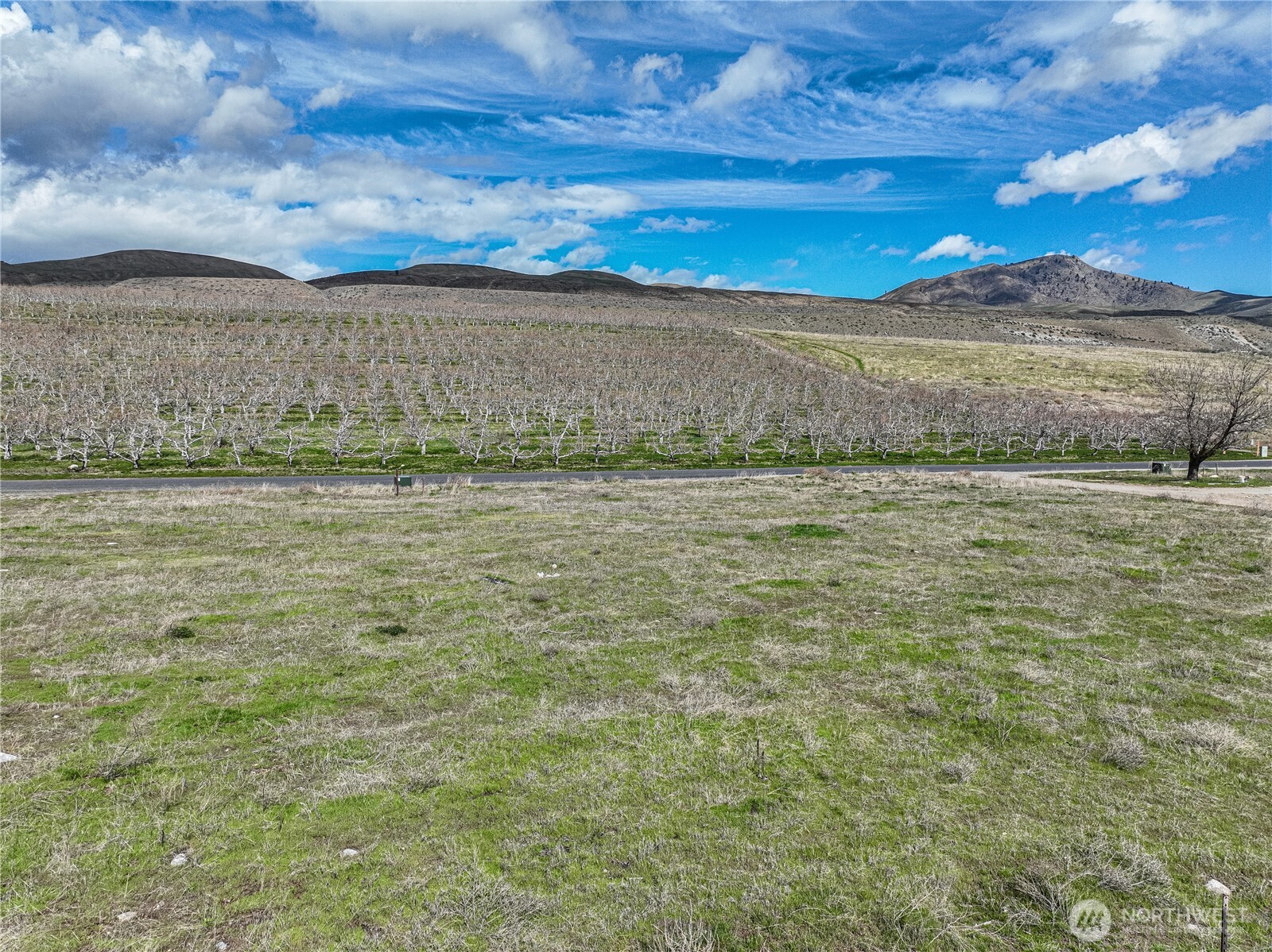 3920 Stayman Flats Road Property Photo 16