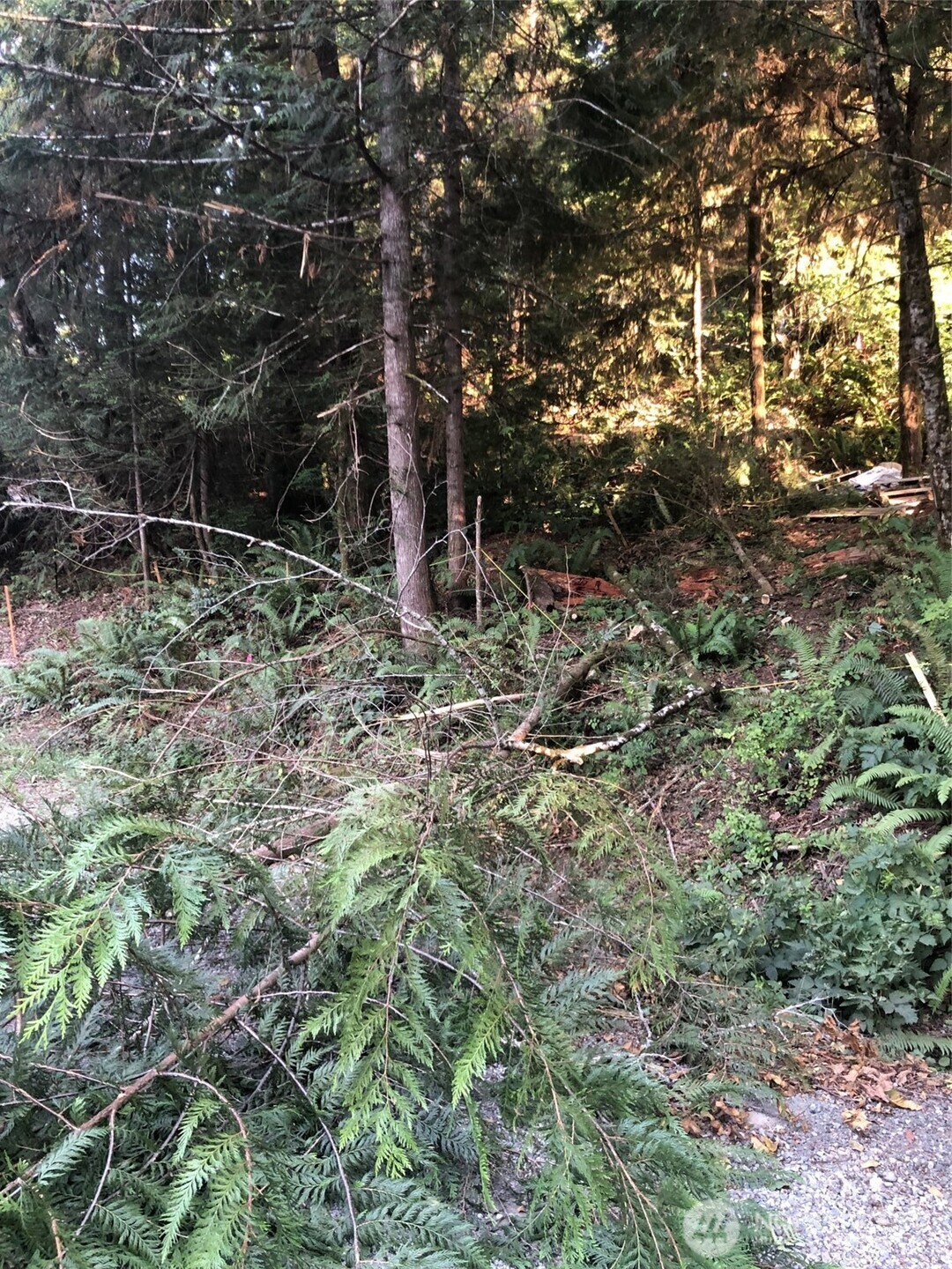 0 Olympic Canal Lot 32 Property Photo 4