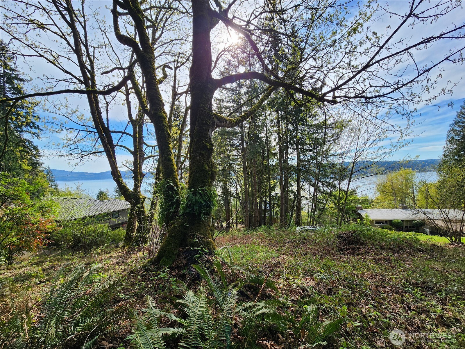 0 E Lake Sammamish Parkway Property Photo