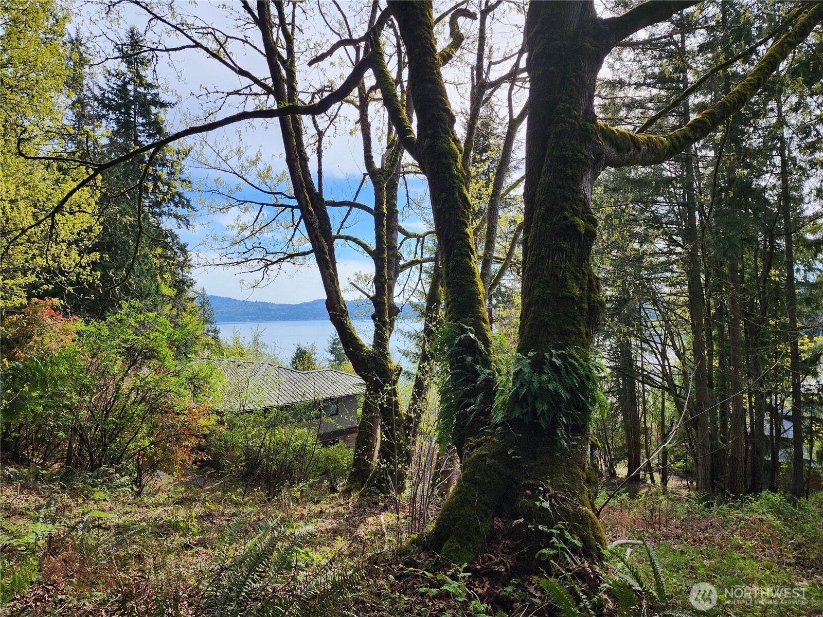 0 E Lake Sammamish Parkway Property Photo 3