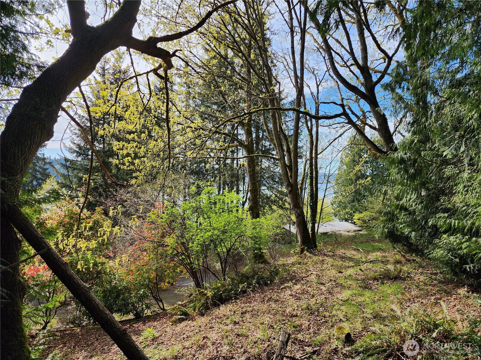 0 E Lake Sammamish Parkway Property Photo 4