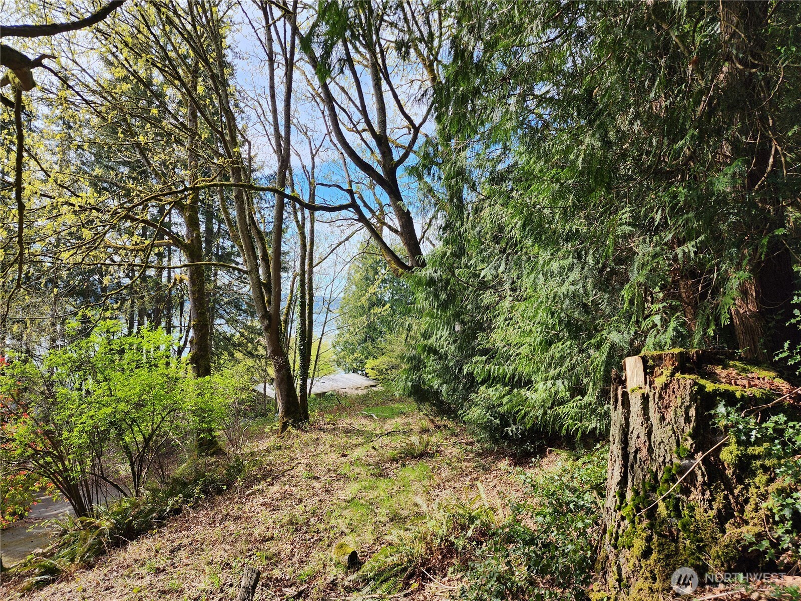 0 E Lake Sammamish Parkway Property Photo 5