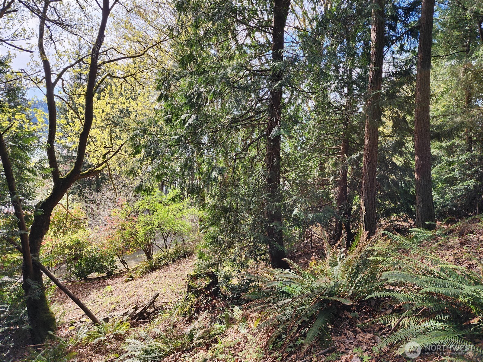 0 E Lake Sammamish Parkway Property Photo 6
