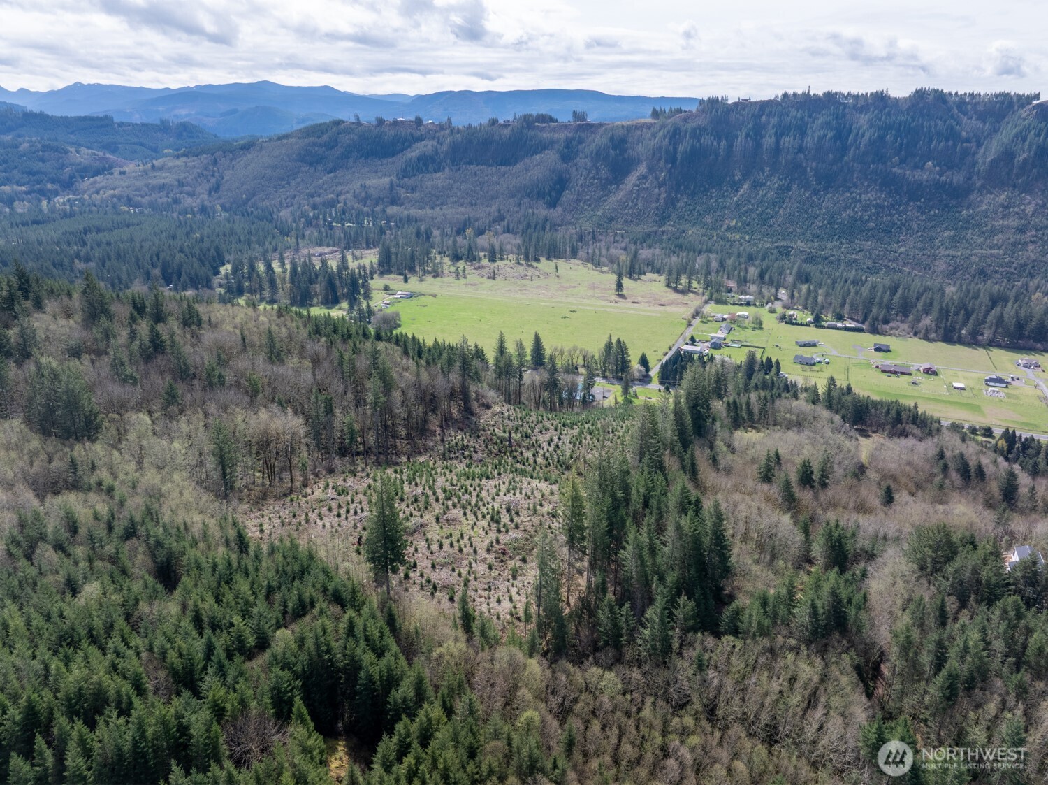 11646 Lewis River Road Property Photo 7