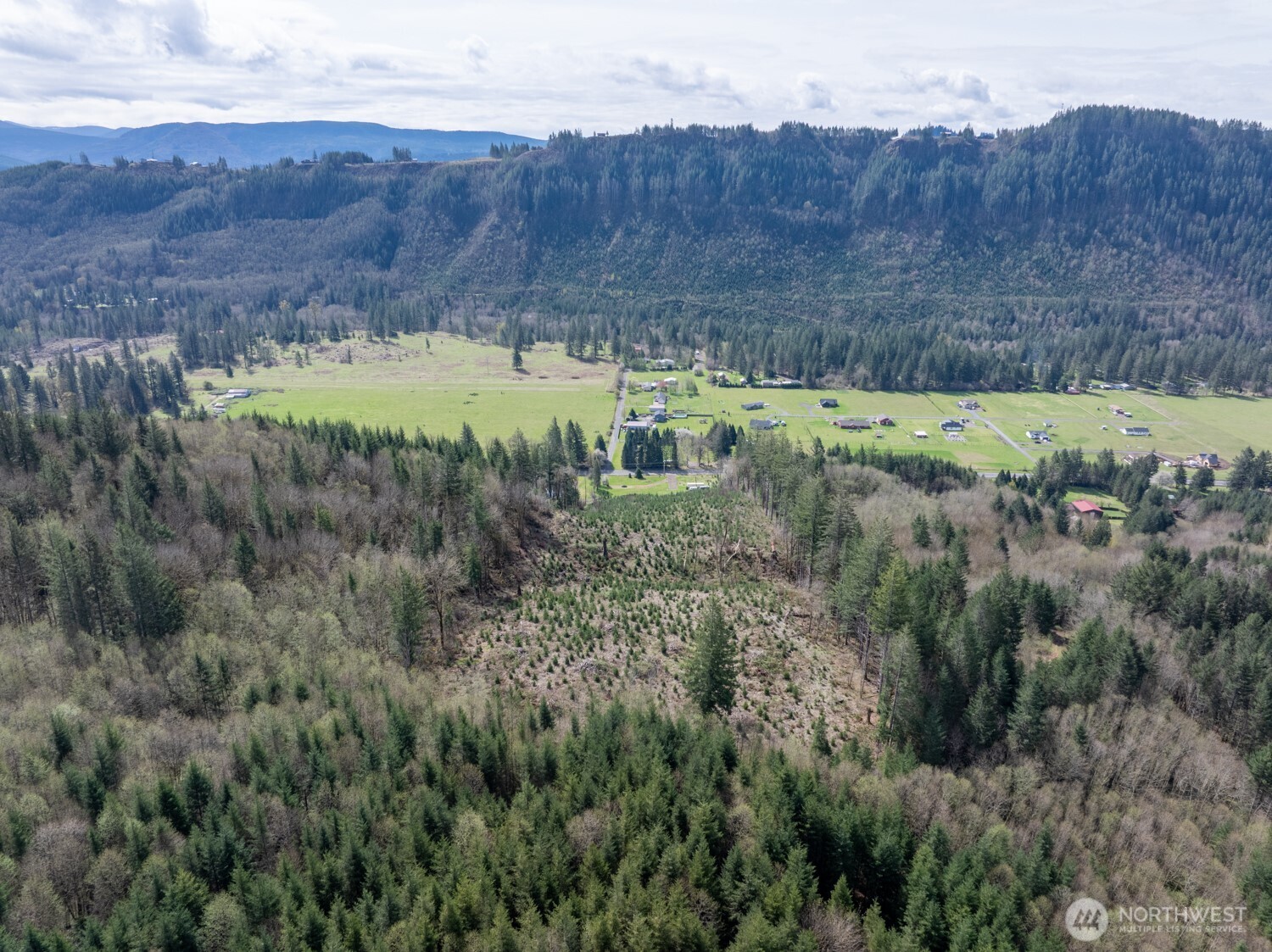 11646 Lewis River Road Property Photo 8