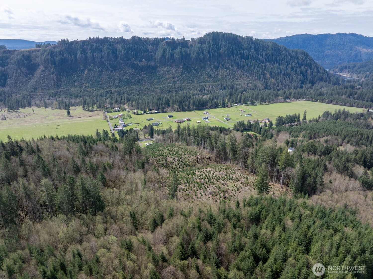 11646 Lewis River Road Property Photo 9