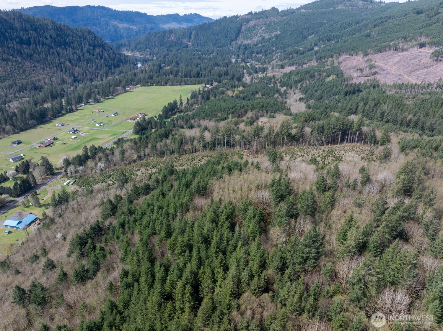 11646 Lewis River Road Property Photo 10