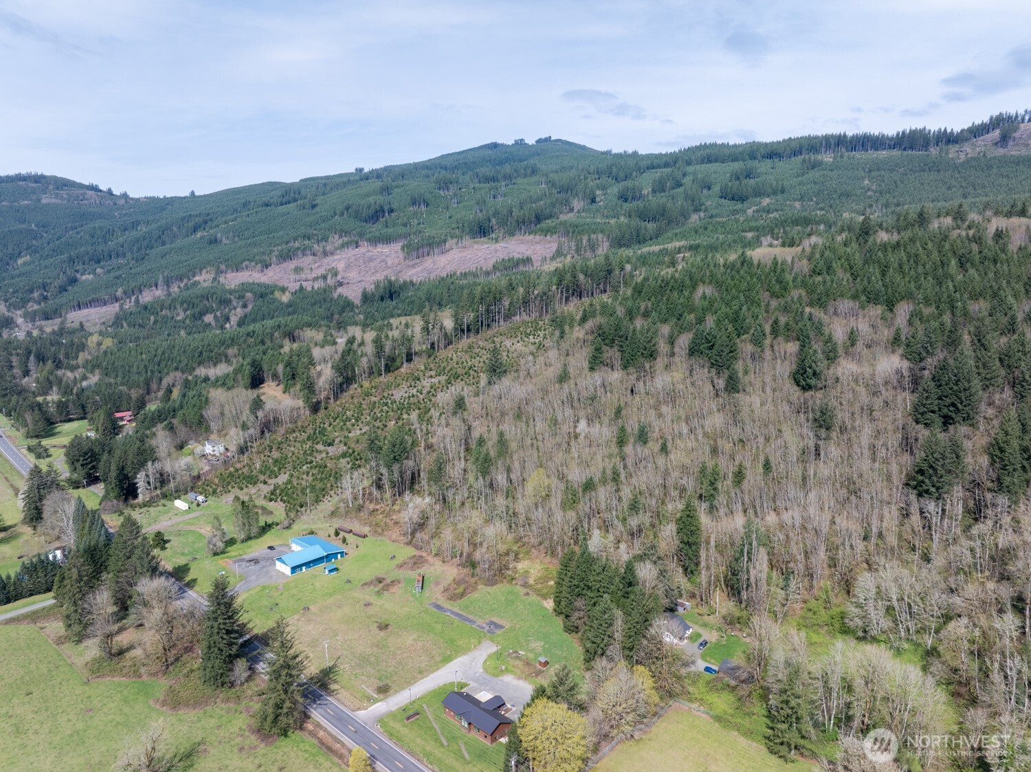 11646 Lewis River Road Property Photo 12