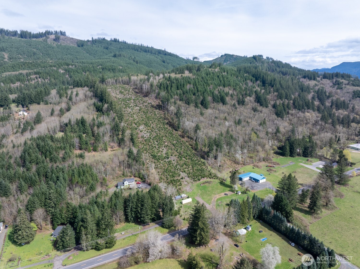 11646 Lewis River Road Property Photo 15
