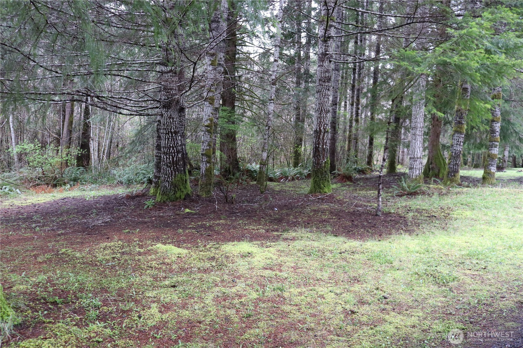 309 Powers Creek Road Property Photo 5