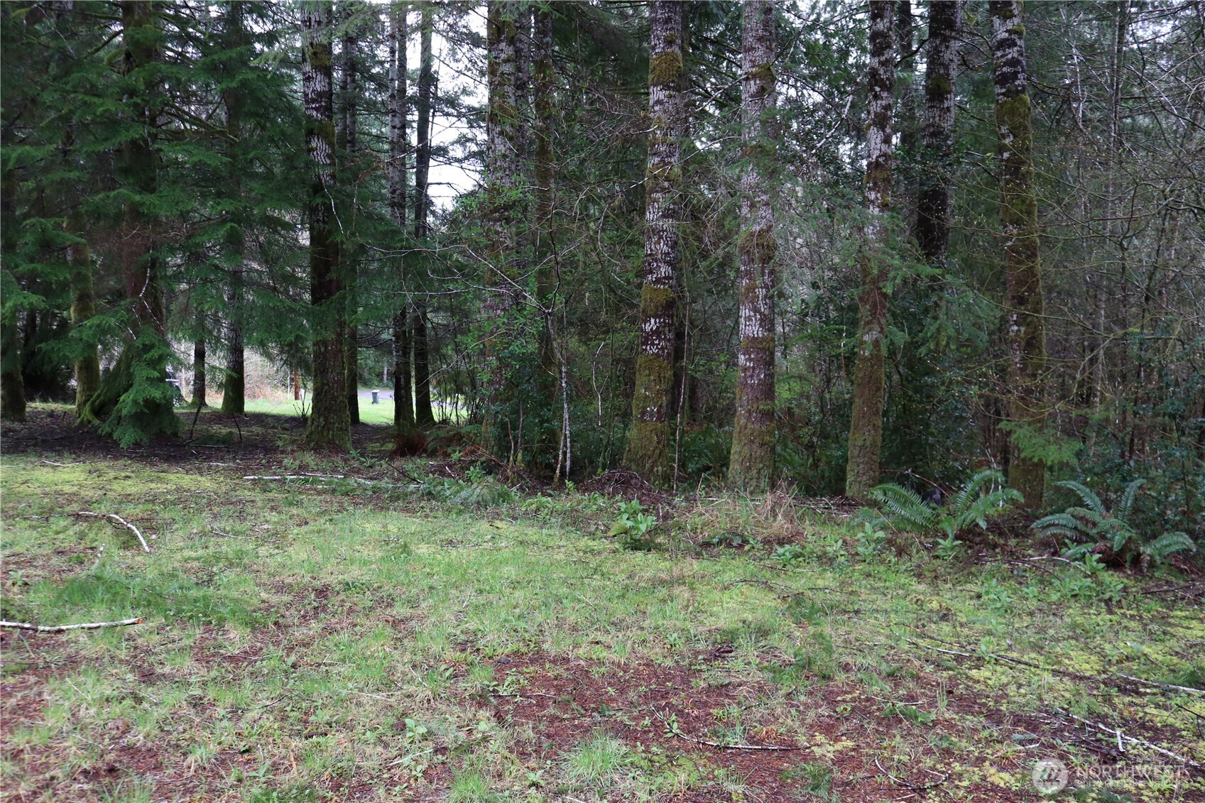 309 Powers Creek Road Property Photo 15
