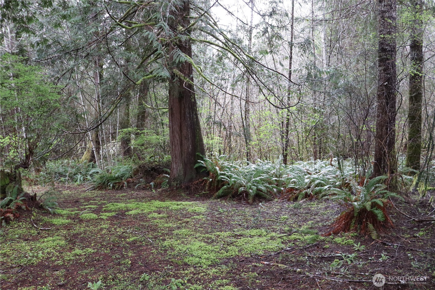 309 Powers Creek Road Property Photo 17
