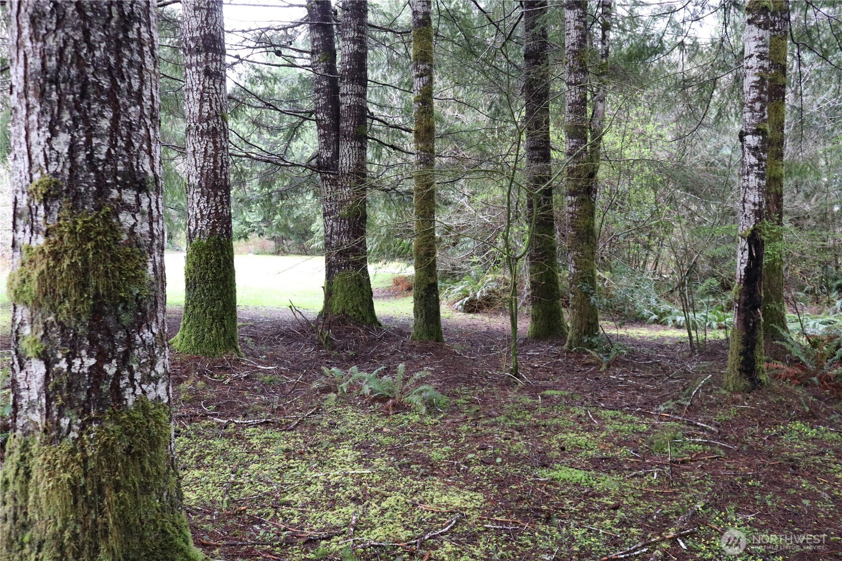 309 Powers Creek Road Property Photo 18