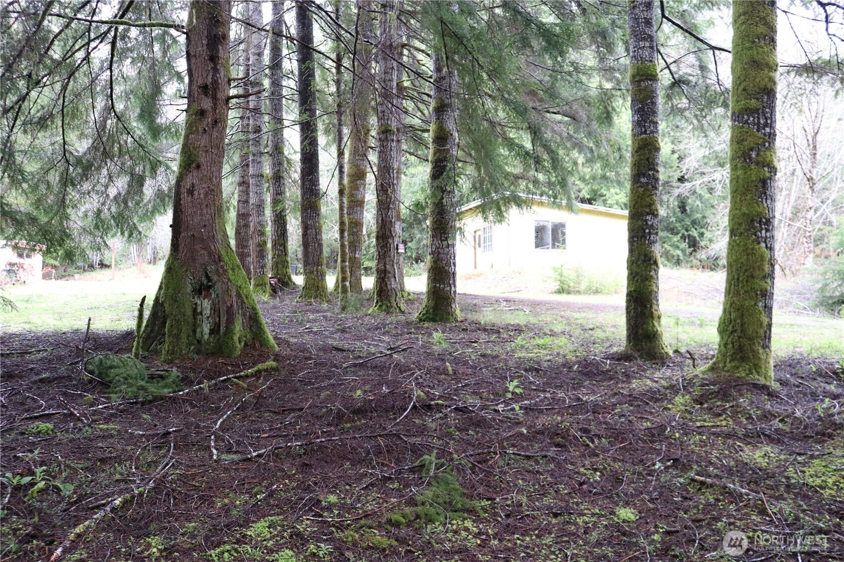 309 Powers Creek Road Property Photo 19