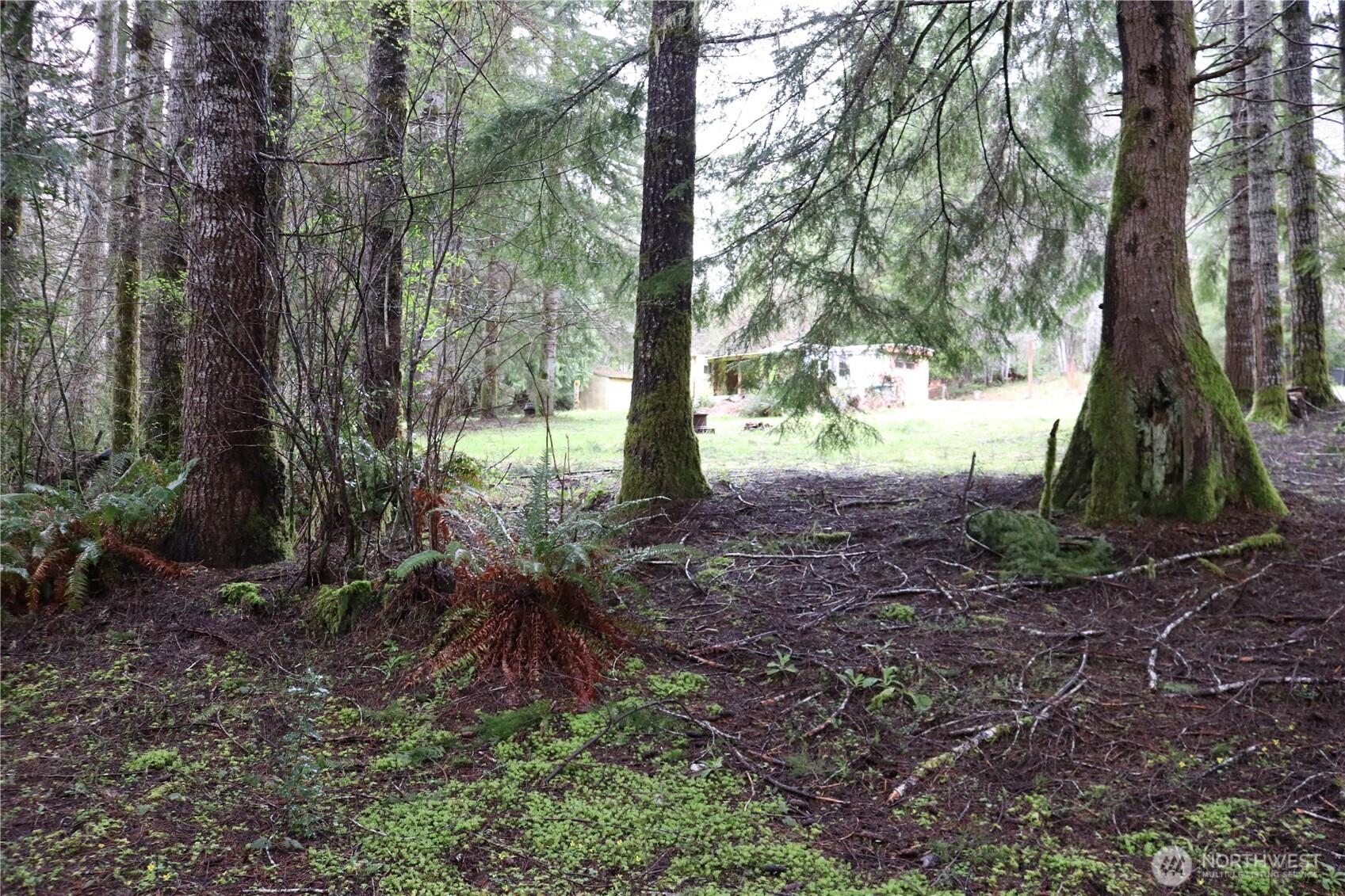 309 Powers Creek Road Property Photo 20