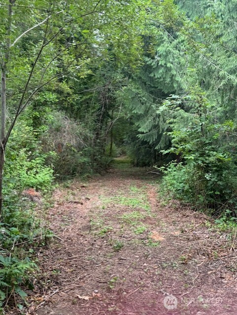 0 Pioneer Road Property Photo 1
