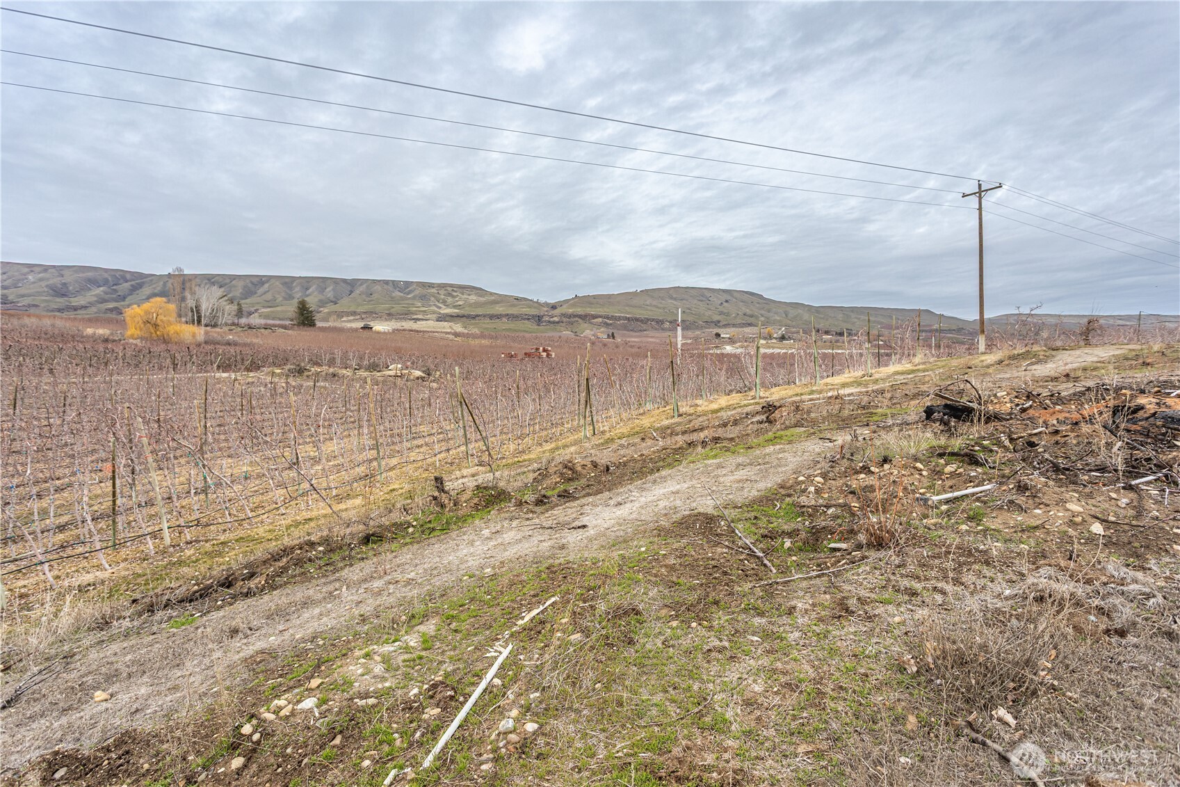 472 C Jack Wells Road Property Photo 23