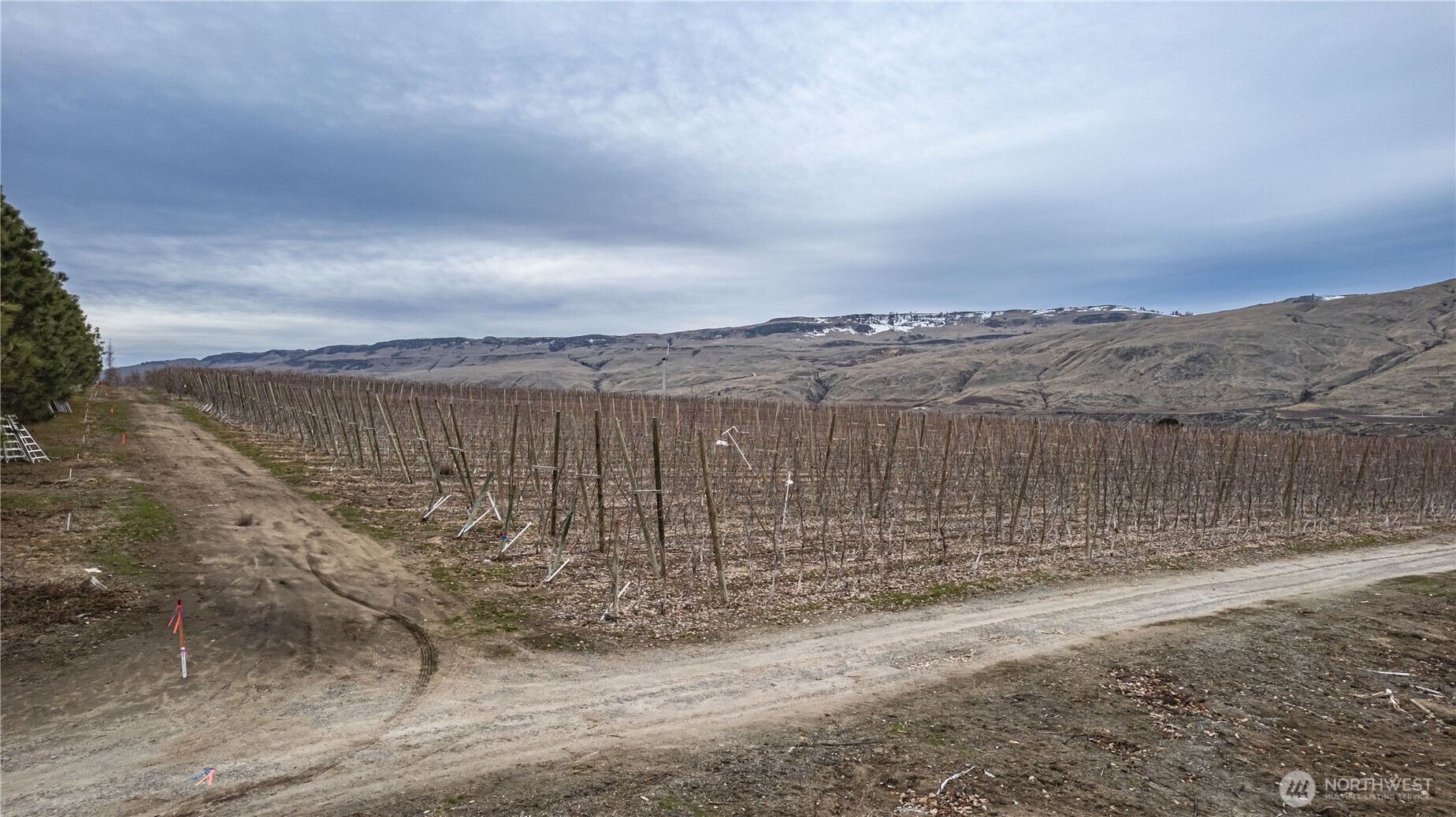 13901 Highway 17 Property Photo 2