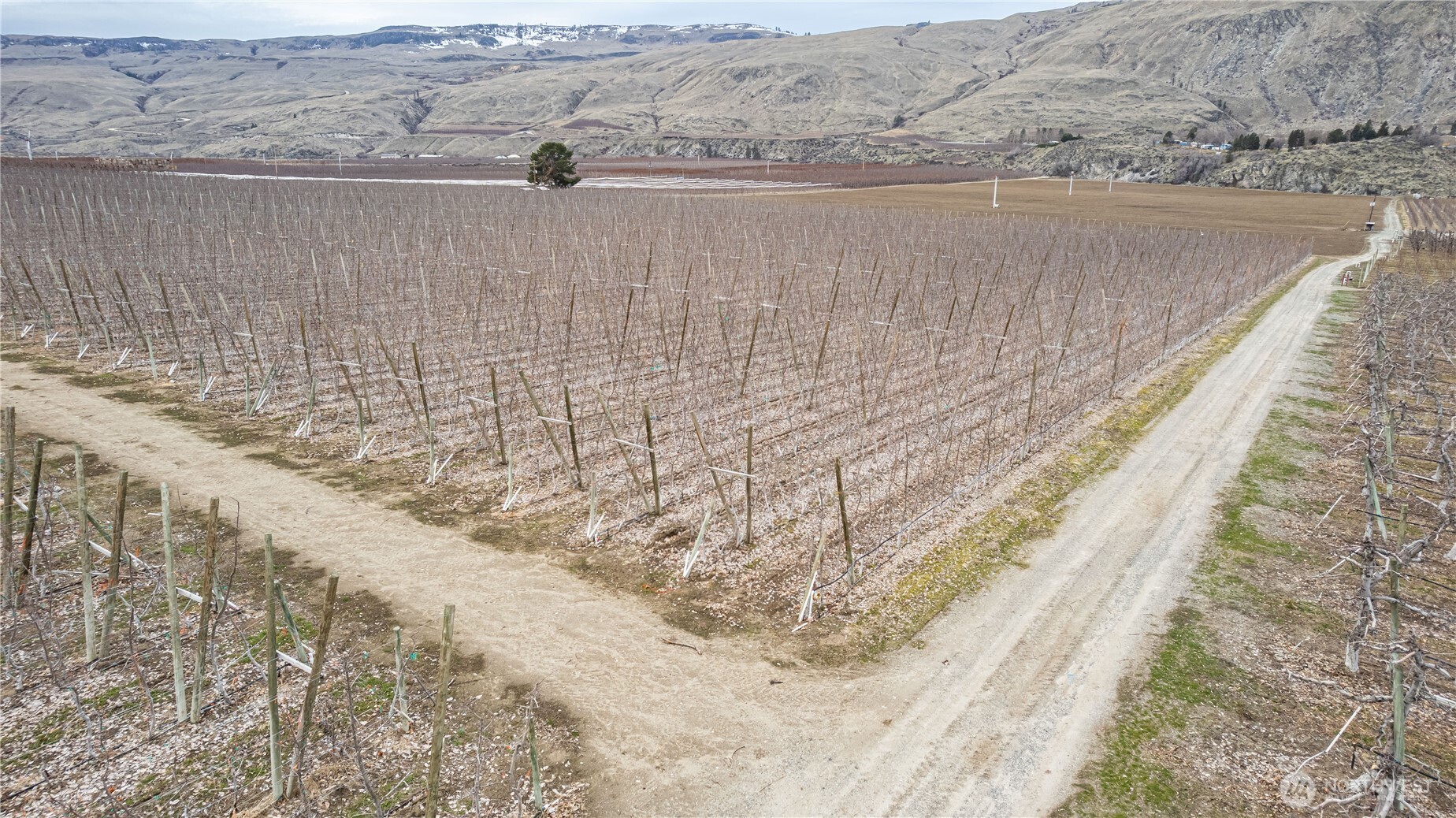 13901 Highway 17 Property Photo 14