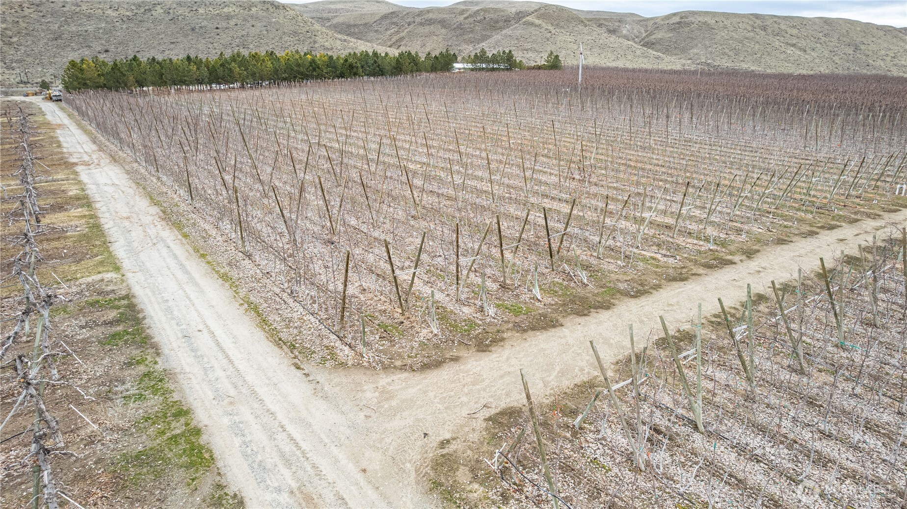 13901 Highway 17 Property Photo 15