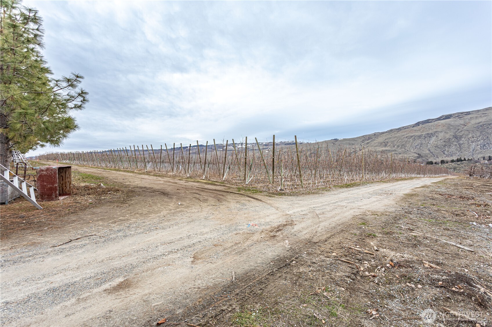 13901 Highway 17 Property Photo 20