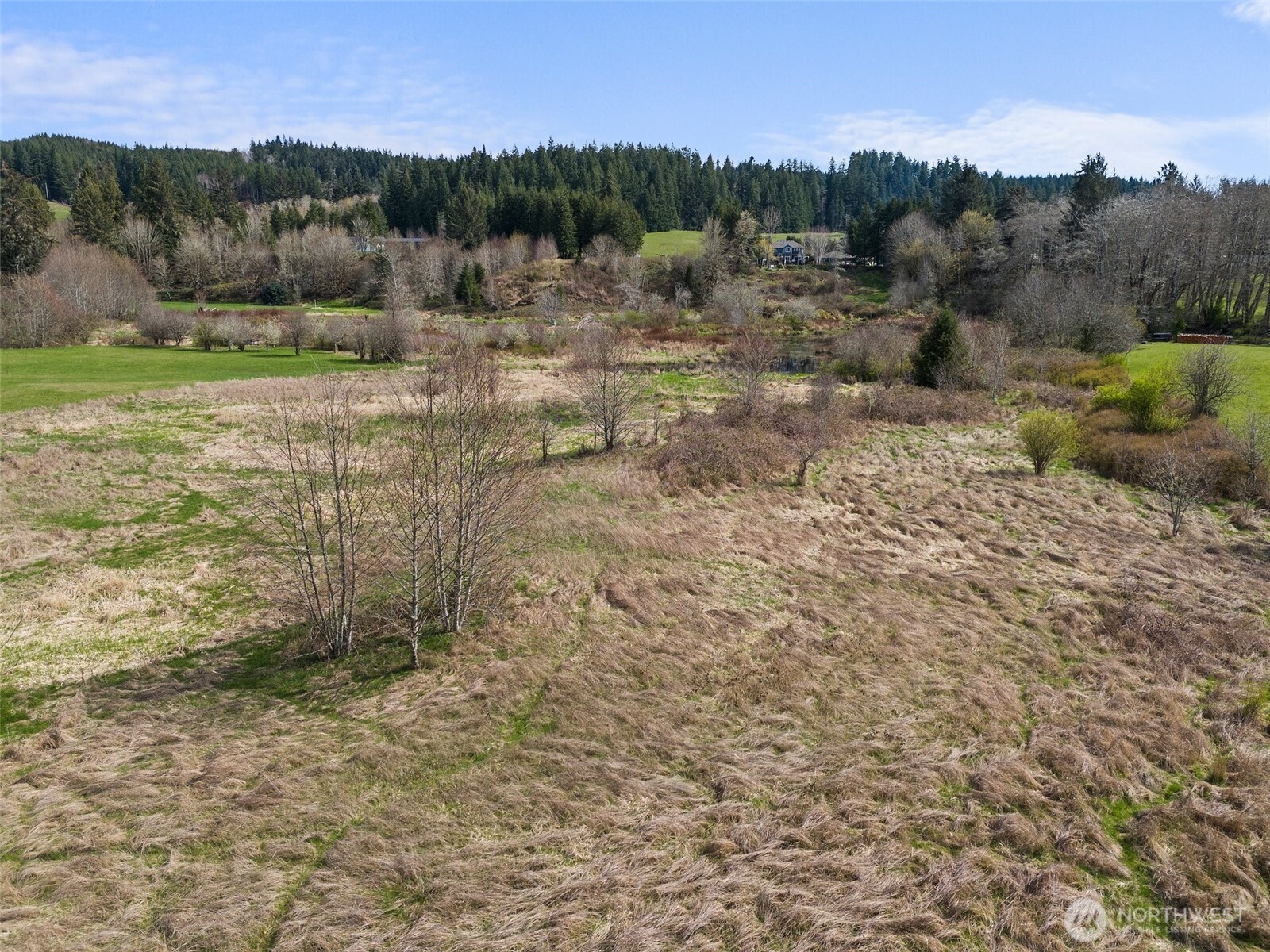0 X Lilly Wheaton Road Property Photo 3