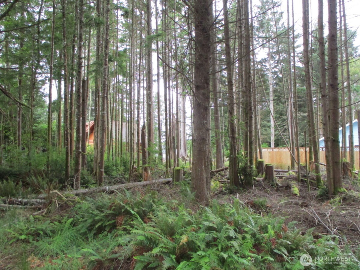 111 Olympic View Avenue Property Photo 1