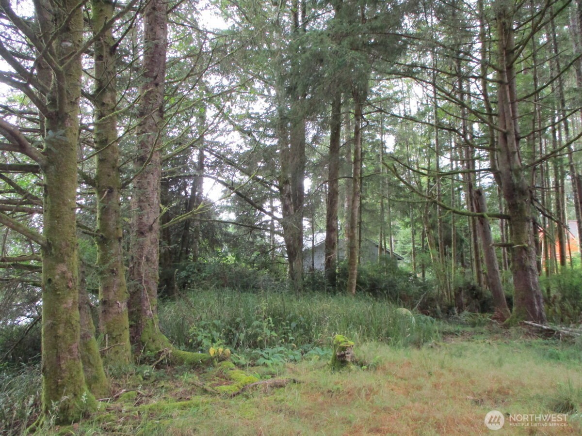 111 Olympic View Avenue Property Photo 2