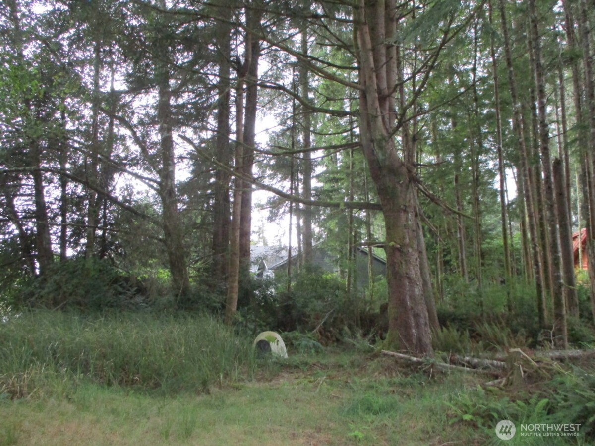 111 Olympic View Avenue Property Photo 3