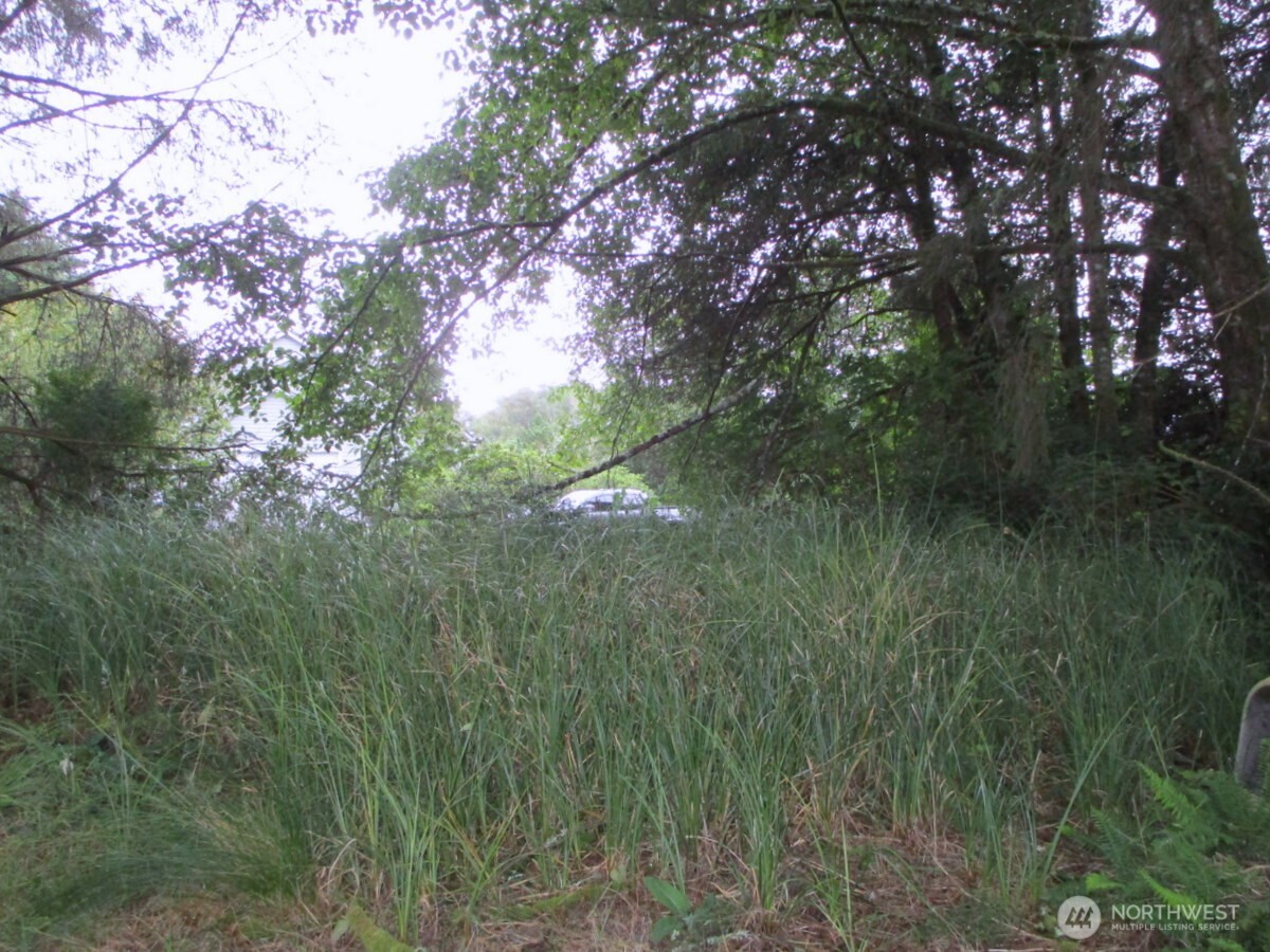 111 Olympic View Avenue Property Photo 7