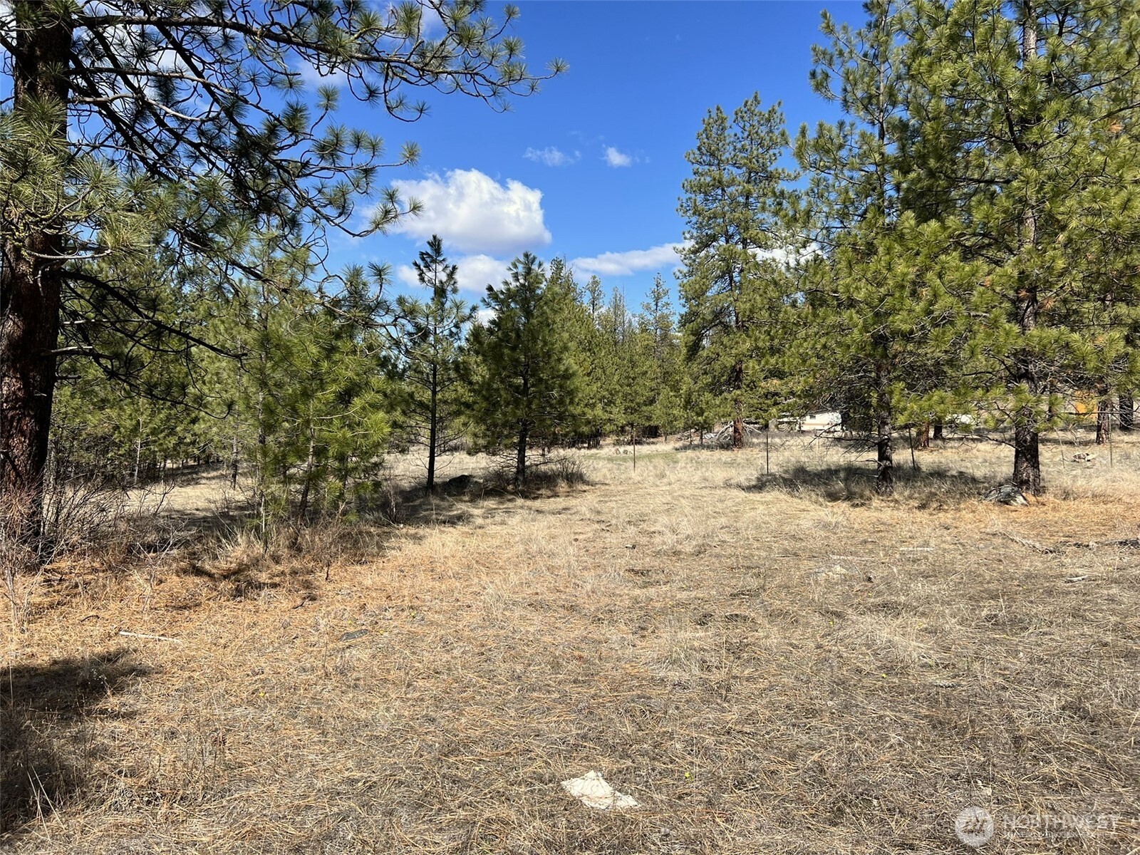 103 Stonehaven Road Property Photo 15