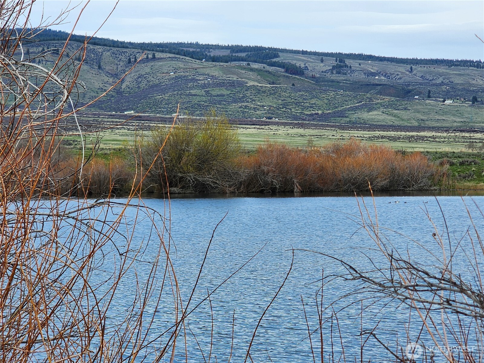 15100 Reecer Creek Road Property Photo