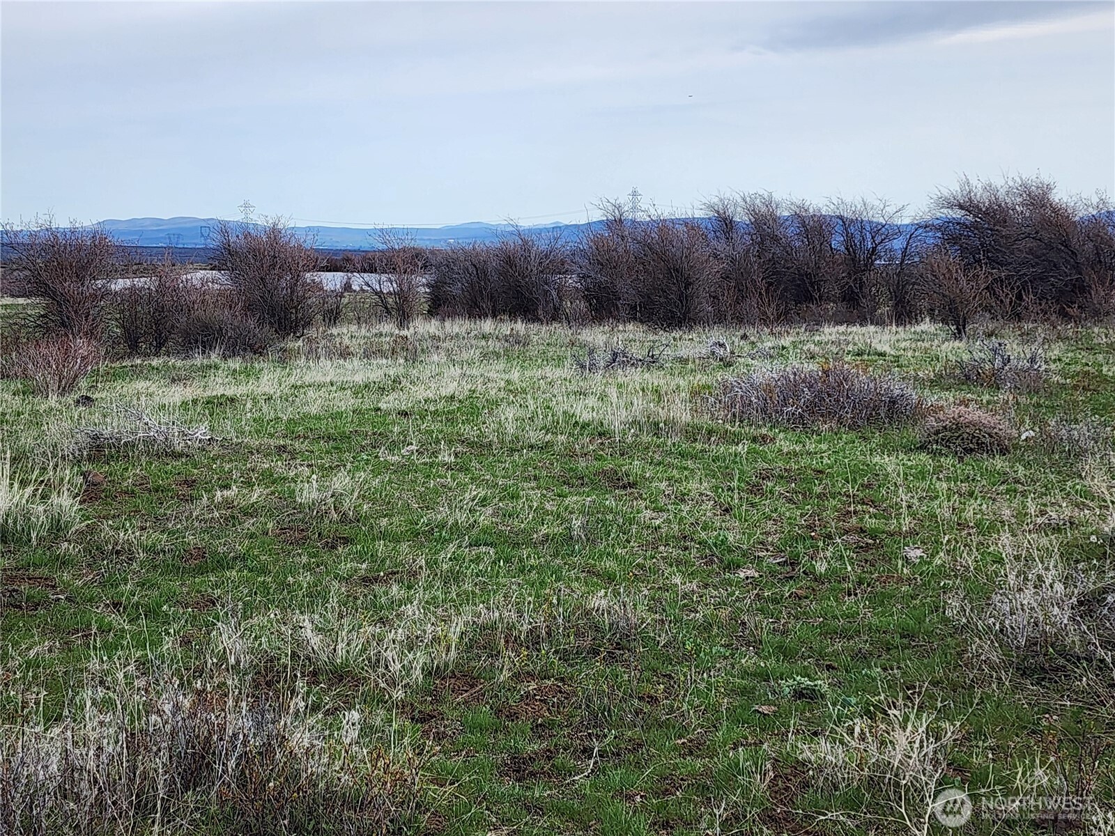 15800 Reecer Creek Road Property Photo 1