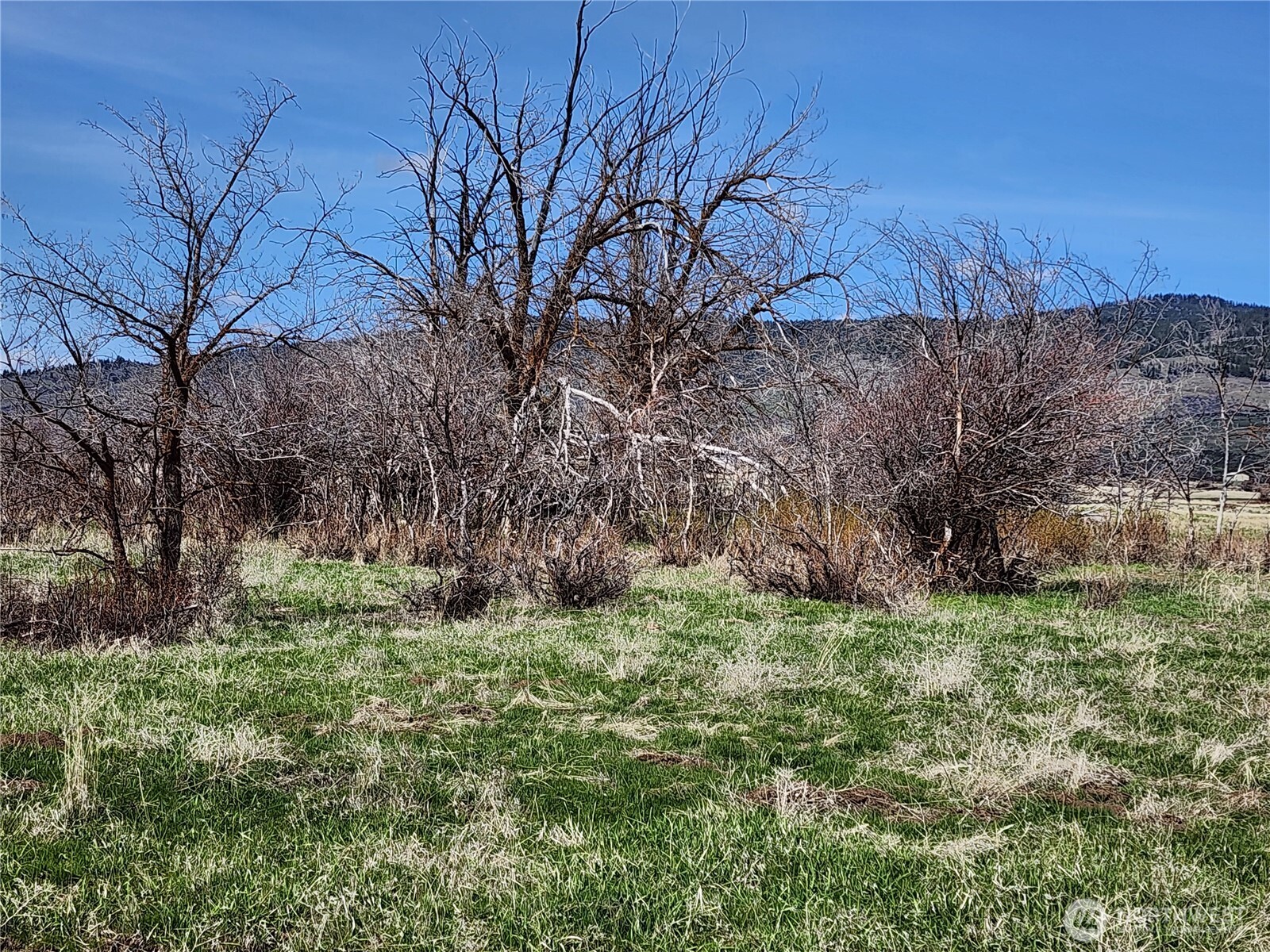 15800 Reecer Creek Road Property Photo 2