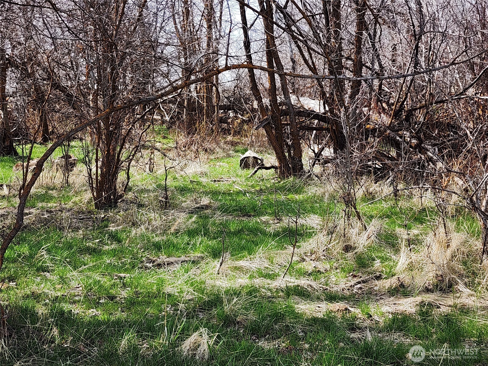 15800 Reecer Creek Road Property Photo 3