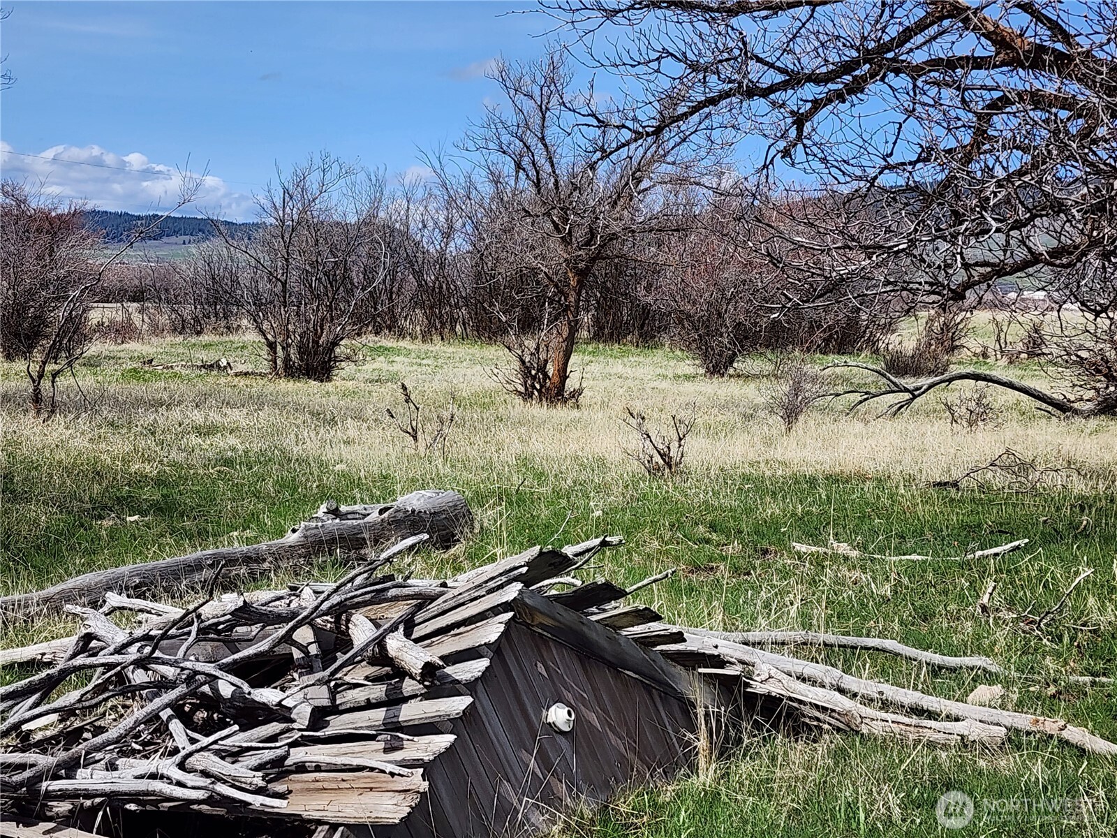 15800 Reecer Creek Road Property Photo 4