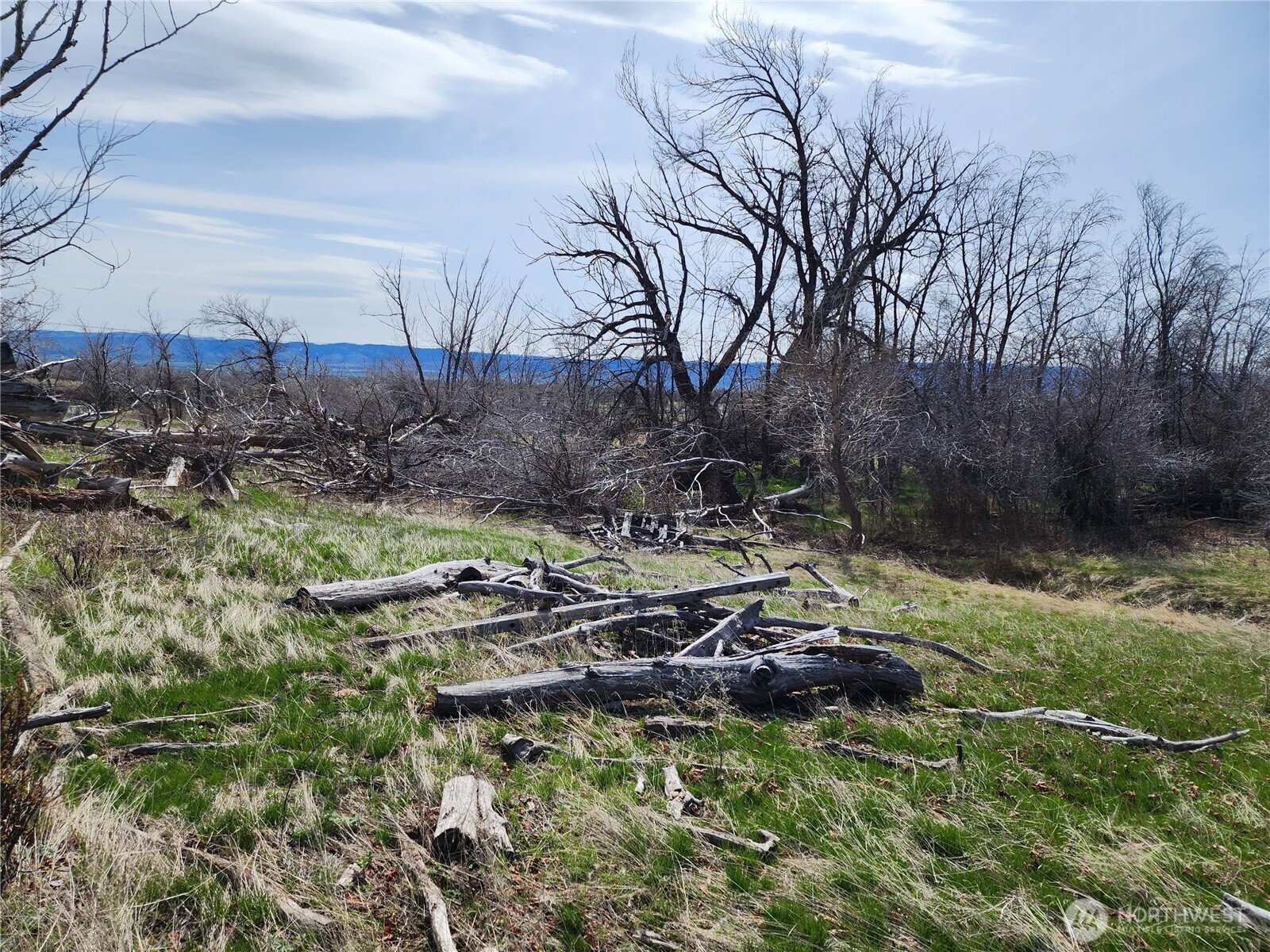 15800 Reecer Creek Road Property Photo 6
