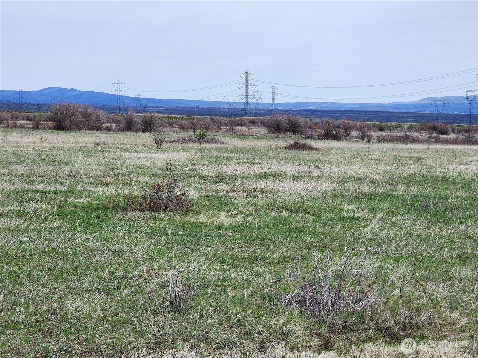15800 Reecer Creek Road Property Photo 7
