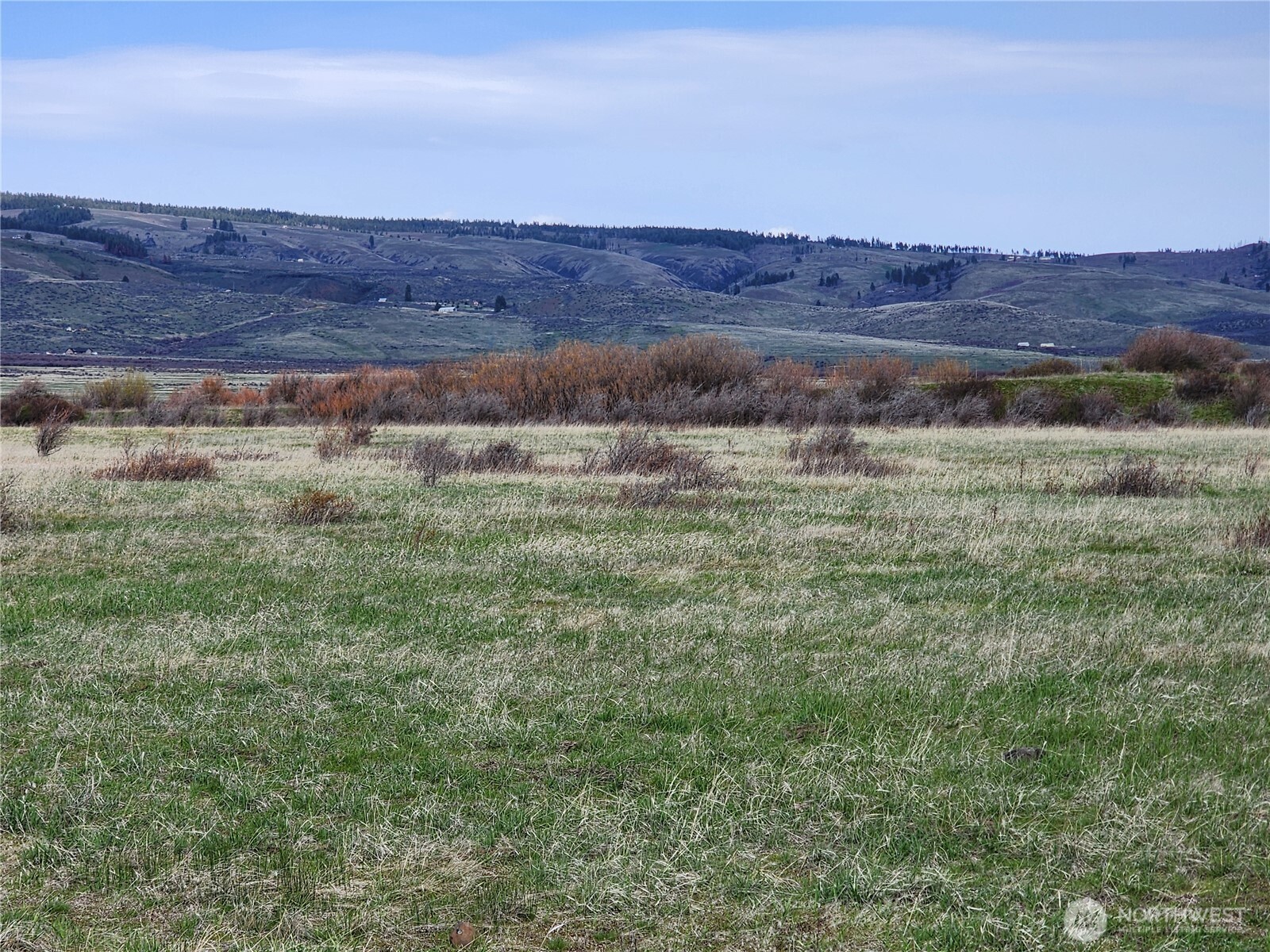 15800 Reecer Creek Road Property Photo 8