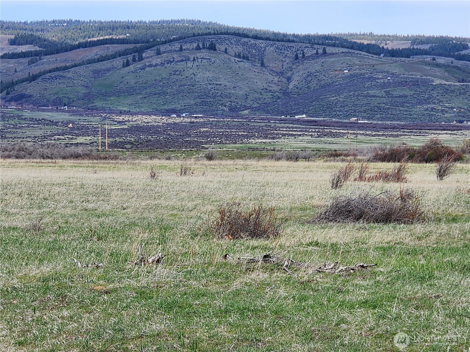 15800 Reecer Creek Road Property Photo 9