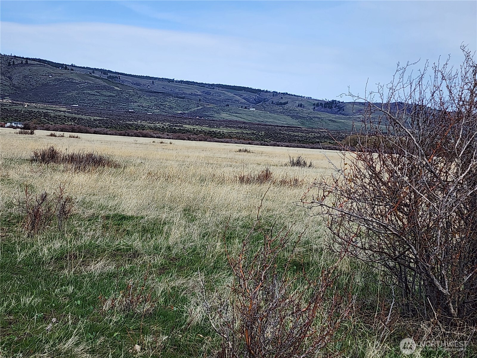 15800 Reecer Creek Road Property Photo 10