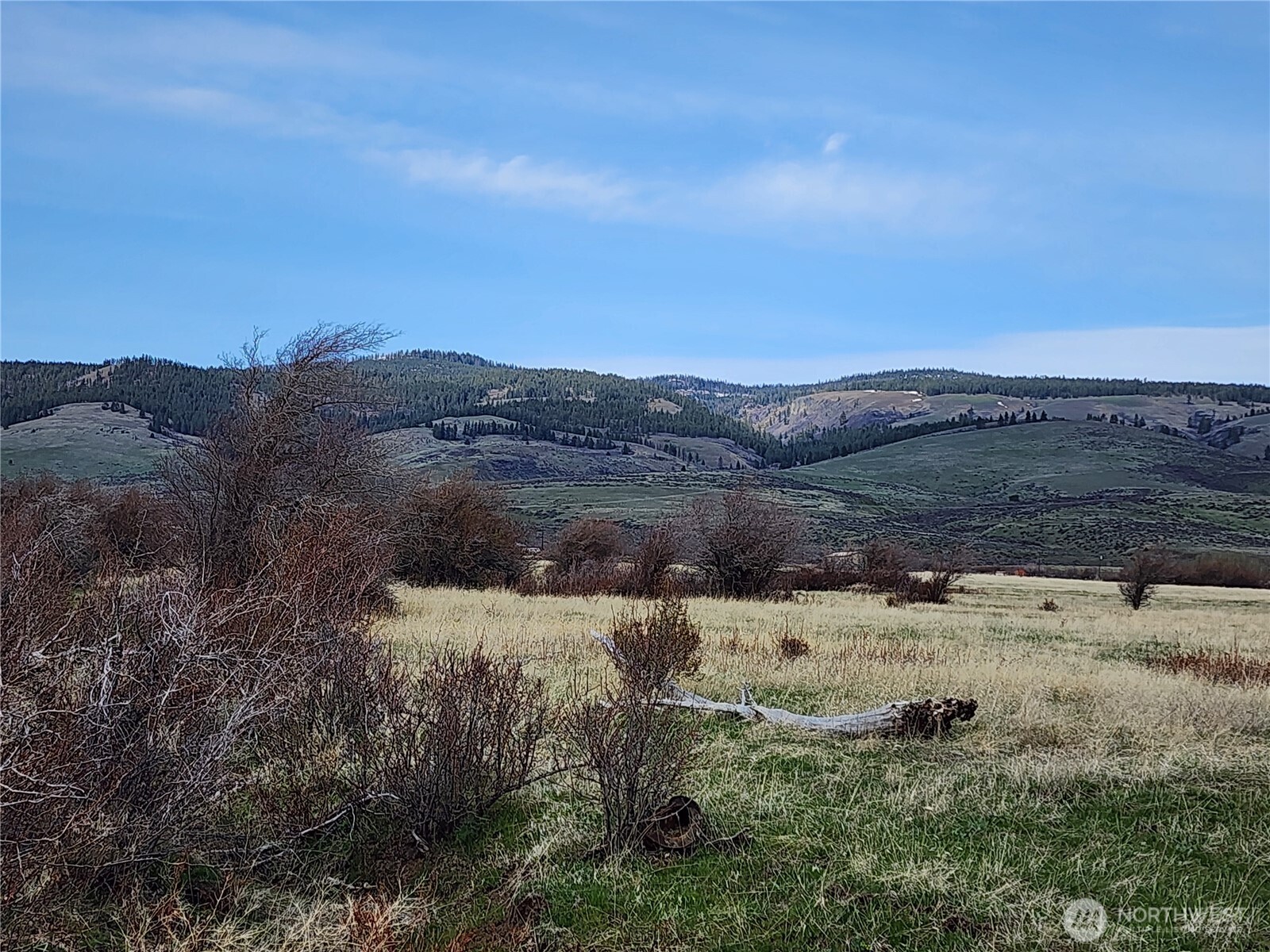 15800 Reecer Creek Road Property Photo 11