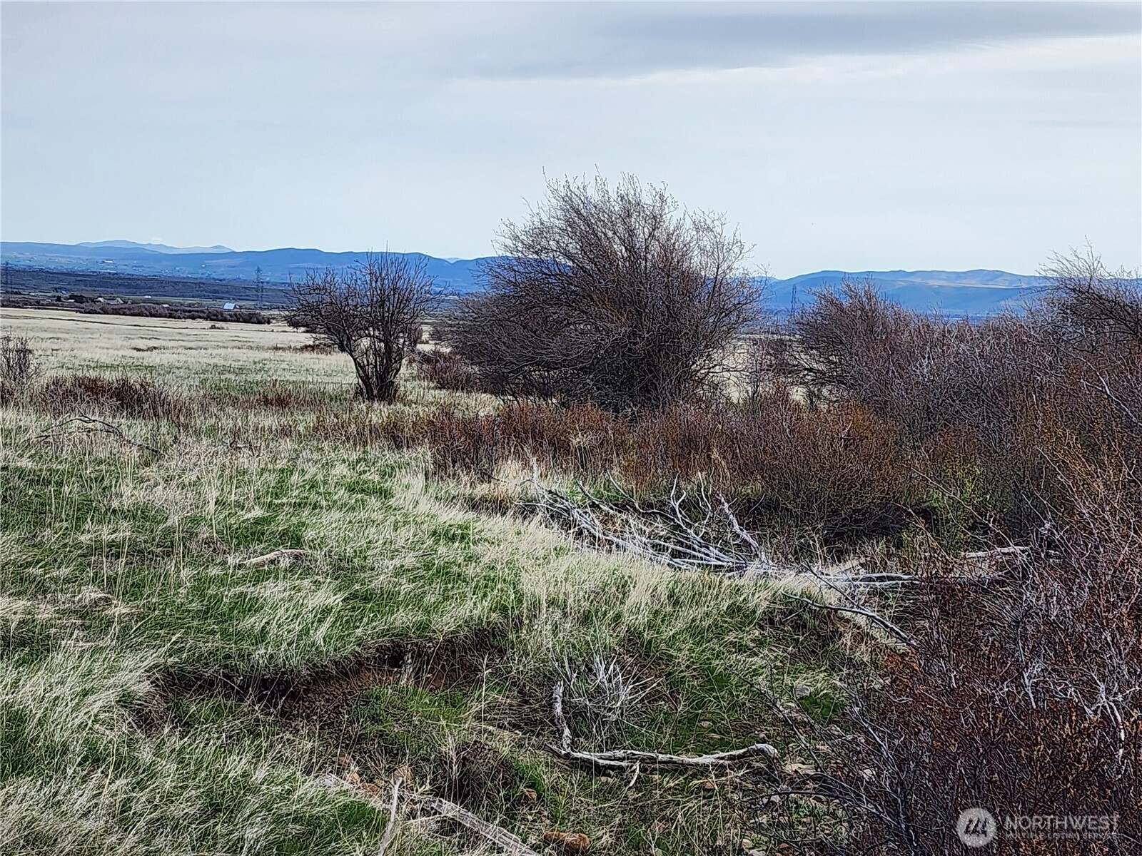 15800 Reecer Creek Road Property Photo 12