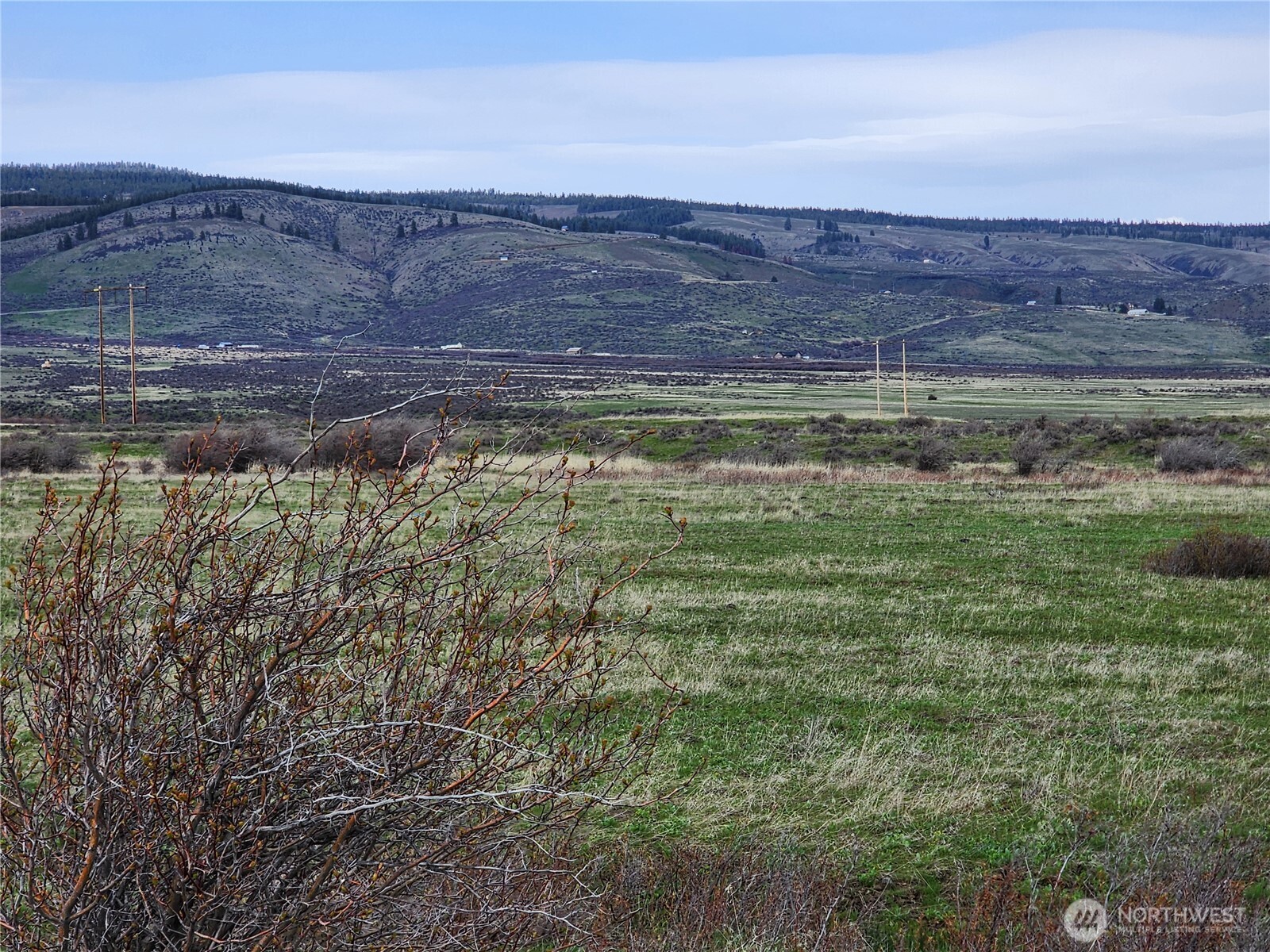 15800 Reecer Creek Road Property Photo 15