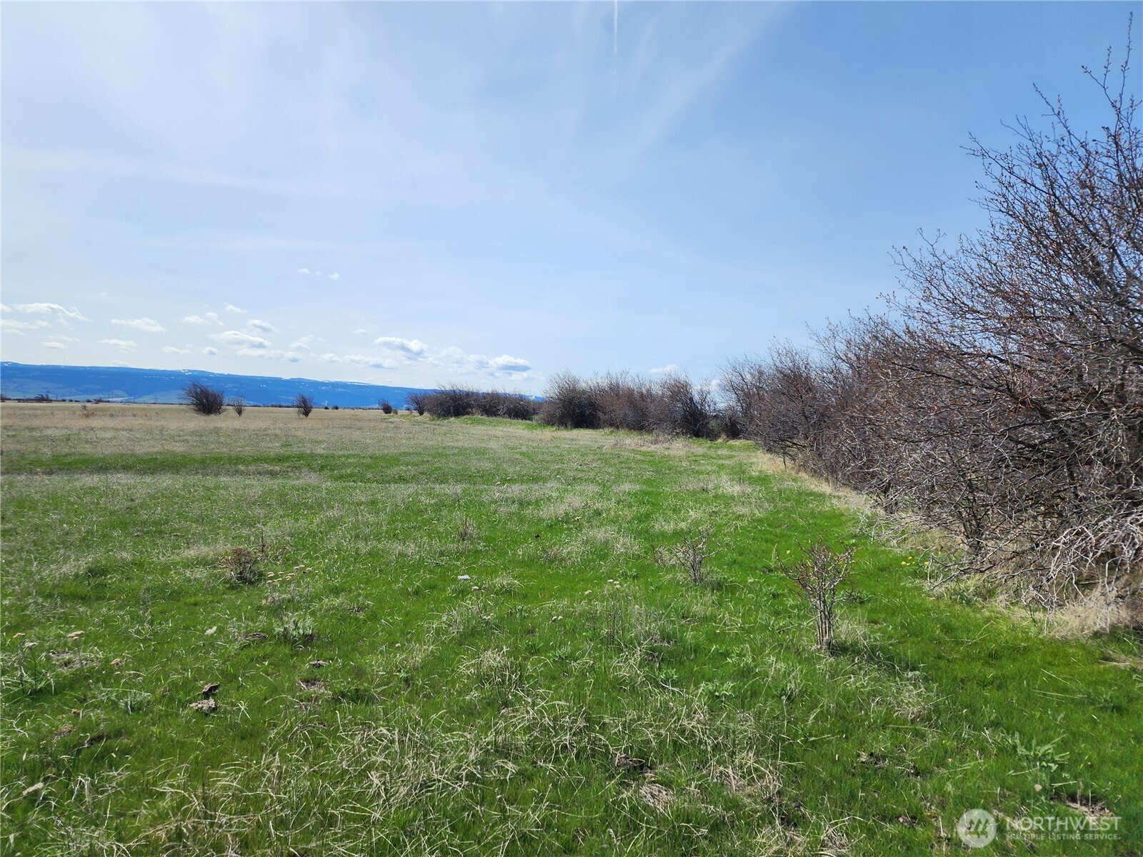 15000 Reecer Creek Road Property Photo 2