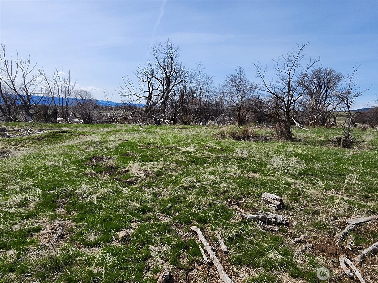 15000 Reecer Creek Road Property Photo 3