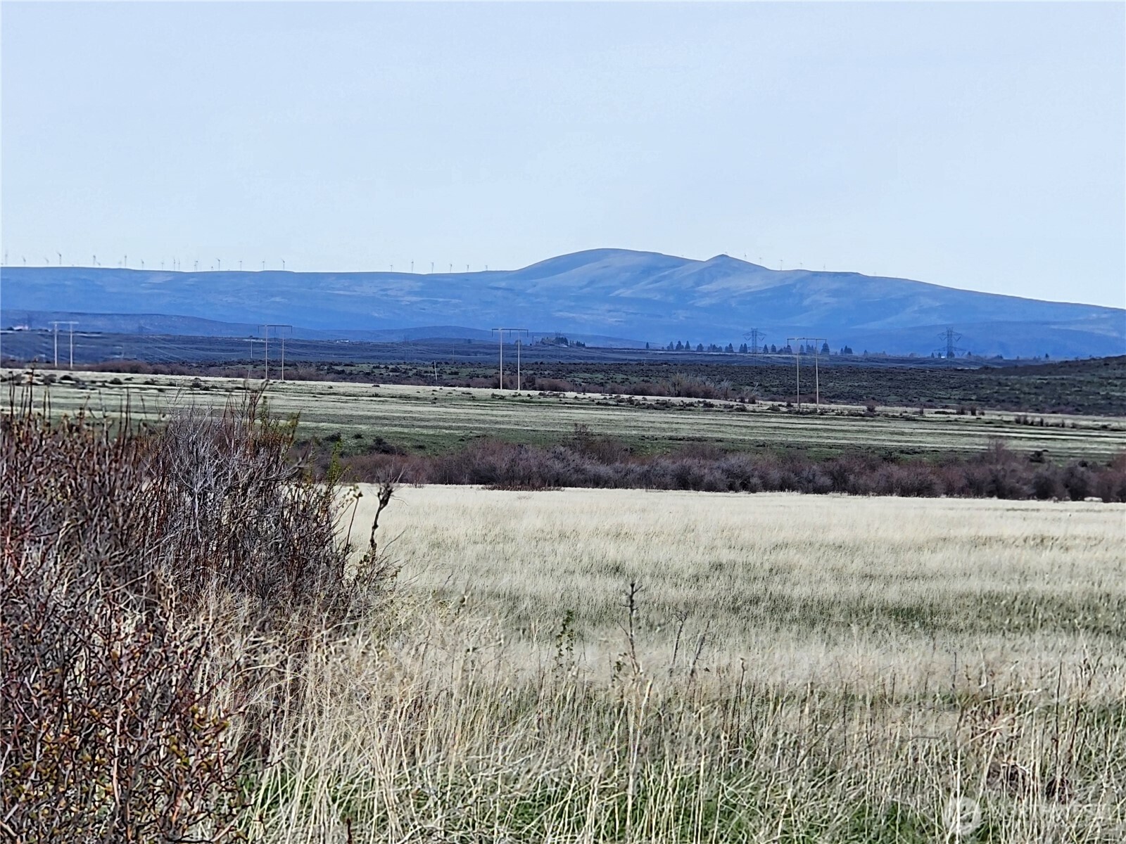 15000 Reecer Creek Road Property Photo 7