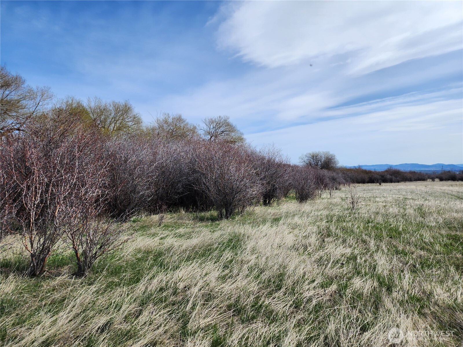 15000 Reecer Creek Road Property Photo 8