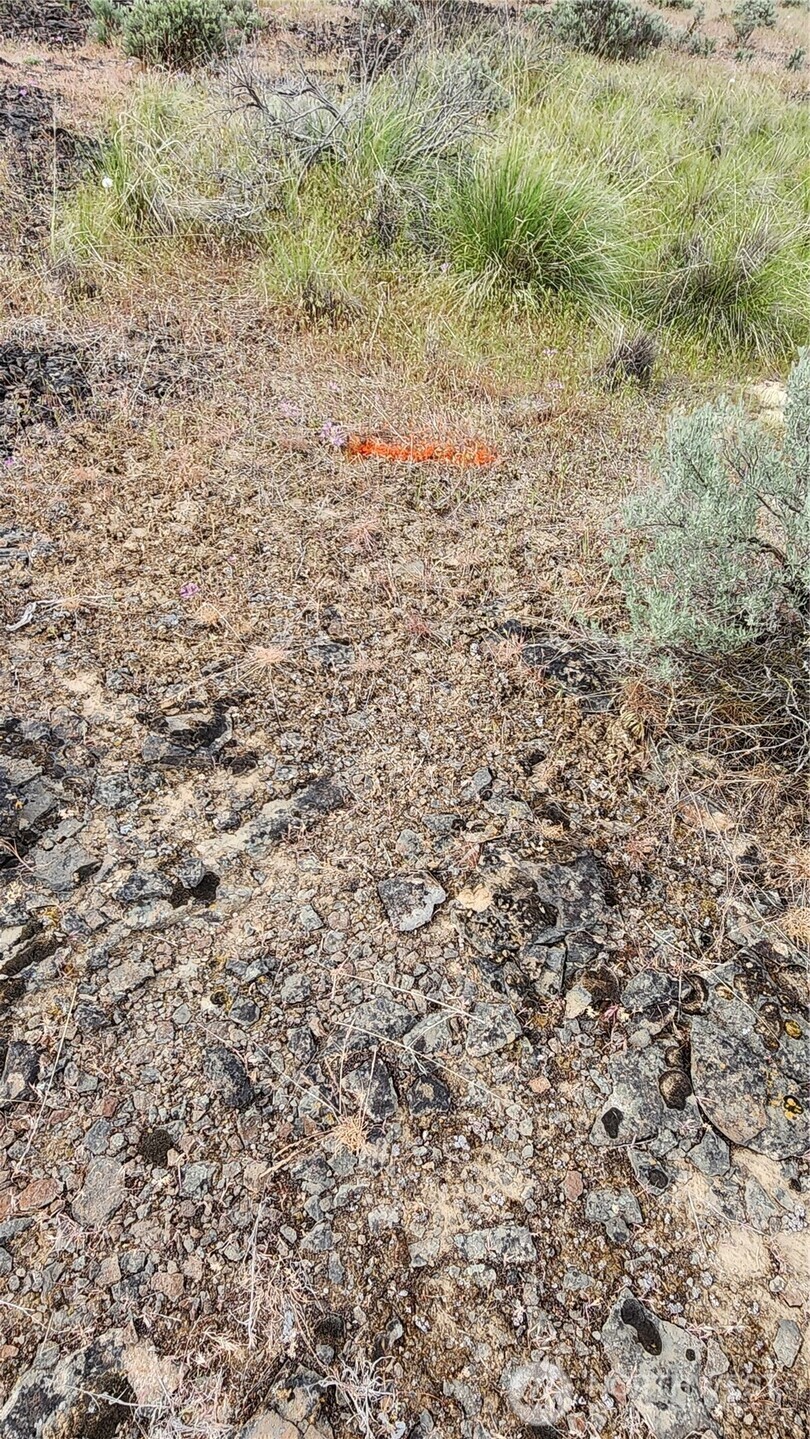 0 Lot 7 Singletree Drive Property Photo 4